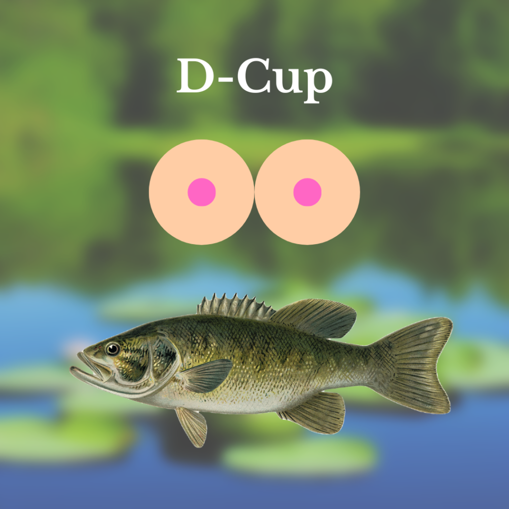 Bass for d cup bobbers