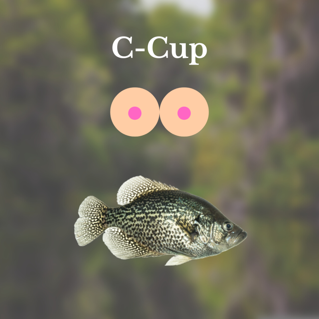 crappie with c cup bobbers